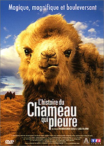 City Travel Guides Discounted  DVD : L'Histoire du chameau qui pleure