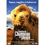 L'Histoire du chameau qui pleure