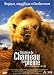 DVD : L'Histoire du chameau qui pleure