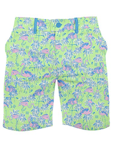 Men's Flamingo Print Shorts - Ultra-Soft Elastic Button Short Shorts