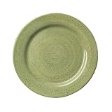 Pfaltzgraff Nuance Sage Open Stock 11 3 4 Dinner Plate