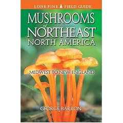 Mushrooms of Northeast North America: Midwest to New England