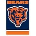 Chicago Bears Applique Banner Flag