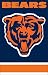 Chicago Bears Applique Banner Flag