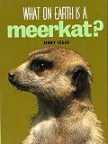 What on Earth Is a Meerkat?
