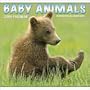 Baby Animals 2009 Wall Calendar