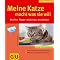 Für Katzenliebhaber und solche die es werden wollen