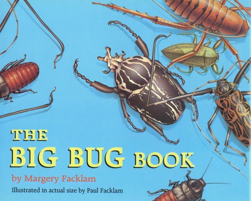 Insects