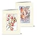 Note Card Cafe All Occasion Cards with Off White Ivory Envelopes | 36 Pack | Vintage Fairies Design Assortment | Blank Inside, Glossy Finish | Greeting, Bulk