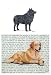 Schipperke Glass Cutting Board