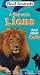  : Real Animals: Day With Lions