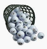 Florida Gators 36 Golf Ball Bucket