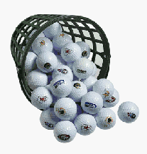 Michigan State Spartans 36 Golf Ball Bucket