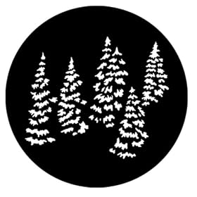 Trees Pine Group