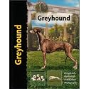 Greyhound Dog Breed Book