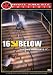 Search : White Knuckle: 16 Below 