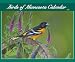 Birds of Minnesota 2007 Calendar