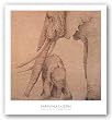 Elefantes En El Papel Tres by Carolina Luzon 16"x16" Art Print Poster Latin