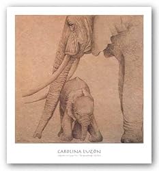 Elefantes En El Papel Tres by Carolina Luzon 16"x16" Art Print Poster Latin