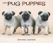pug45  - Just Pug Puppies 2010 Wall Calendar