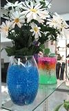 Aquaglobez Crystal Majic Colorful Soil Just Add Water