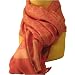 70% Pashmina 30% Silk Paisley Scarf Shop Shawl Wrap Stole