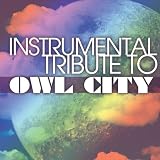 Instrumental Tribute to Owl Citypar Various Artists