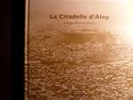 La Citadelle d'Alep et ses alentours...