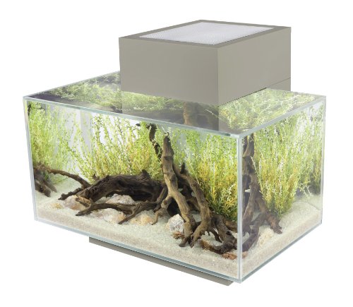 Fluval Edge, 6 gallon Aquarium with 21-LED Light , Silver