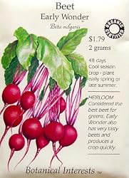 Beets Early Wonder Certified Organic Heirloom Seeds 150 Seeds