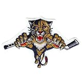 NHL Florida Panthers Embroidered Team Logo Collectible Patch