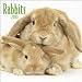 Rabbits 2010 Wall Calendar Publisher: Browntrout