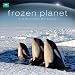 Planet Earth Frozen Planet 2013 Linen Wall Calendar