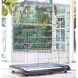 MidWest Metals Bird Cage w ABS Plastic Pan Base 36L x 24W x 48H