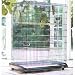 Bird Cage - 36