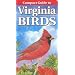 Compact Guide to Virginia Birds
