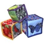 Baby Einstein Stack and Discover Blocks