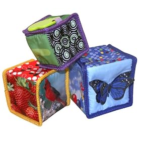 Baby Einstein Stack and Discover Blocks