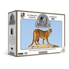 Wild America