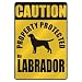 labrador39 - CAUTION PROPERTY PROTECTED BY LABRADOR PARKING SIGN DOG