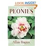 Peonies