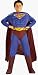 Search : DC Comics Deluxe Fiber Optic Muscle Chest Superman Child's Costume