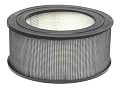 Honeywell 21500 Enviracaire True HEPA Filter