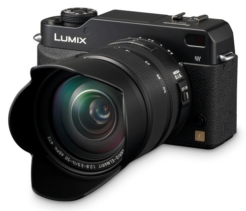 Panasonic DMC-L1 7.5MP Digital SLR Camera with Leica 14-50mm Mega O.I.S. Lens