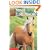 Mare in the Meadow (Animal Ark Series #31)