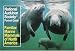 National Audubon Society Pocket Guide to Familiar Marine Mammals