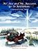 Mr. Fox and Mr. Raccoon Go to Bethlehem