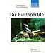 Die Buntspechte: Gattung Picoides