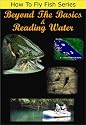 Beyond the Basics & Reading Water [DVD] [2003] [Region 1] [US Import] [NTSC]