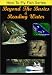 DVD : How To Fly Fish Series, Beyond The Basics & Reading Water